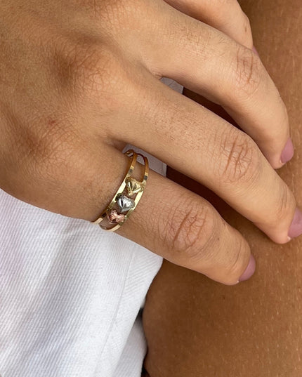 Anel Essência Tons Amor