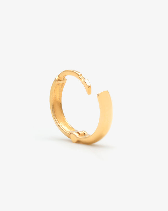 Brinco Argola Oval